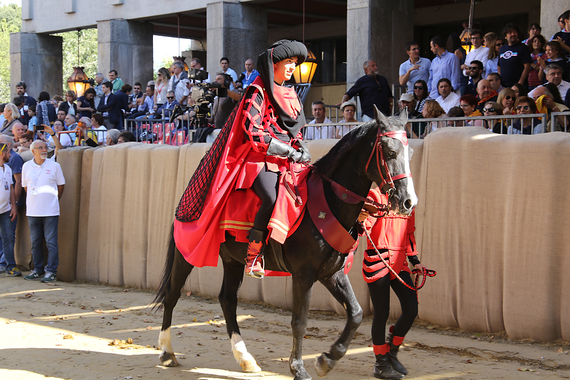 -516- CorteoStorico.jpg